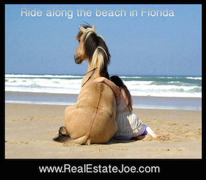 Places to ride horses on the Beach in Naples, Florida