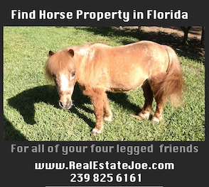 Horse Properties in Naples Florida and Equestrian Estates and ranches