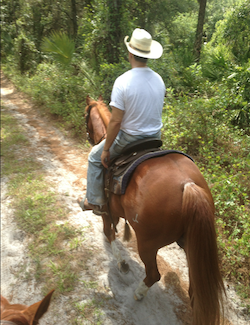 Find horse properties and ranches for sale in Naples, Florida