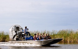 Take a trip to the Everglades near Naples Florida