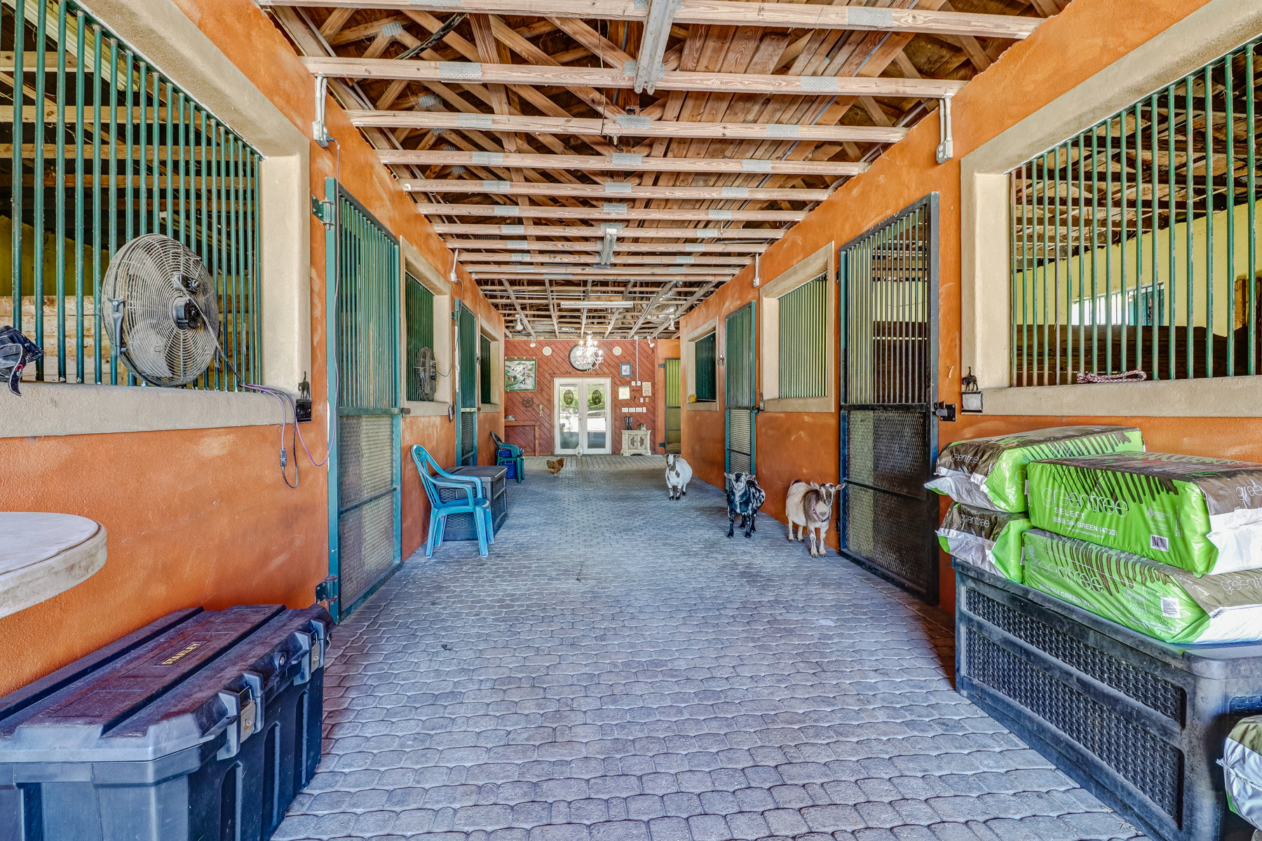 Horse property in Naples Florida 