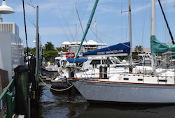 Boats in the harbor at Naples City Dock
